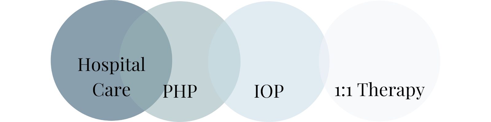 The different level of care options available within the mental health field.